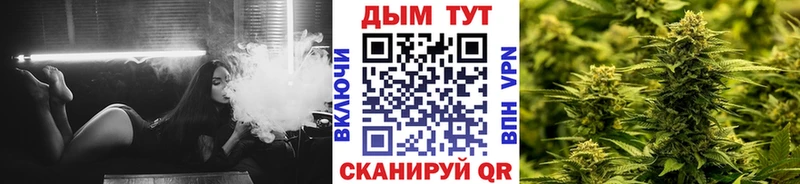 Бошки Шишки семена  даркнет сайт  OMG вход  Лениногорск 